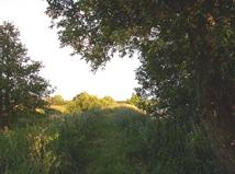 River_bank_small