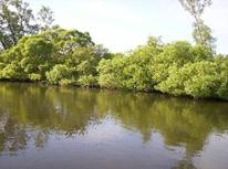 Surlingham_1_small