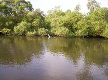 Surlingham_2_small